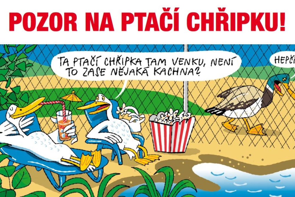  Státní veterinární správa upozornila na výskyt ptačí chřipky