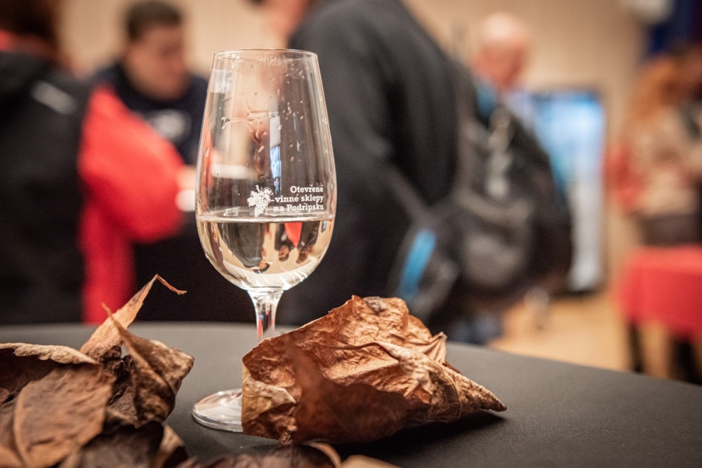  Ohlédnutí za Otevřenými vinnými sklepy na Podřipsku 2022