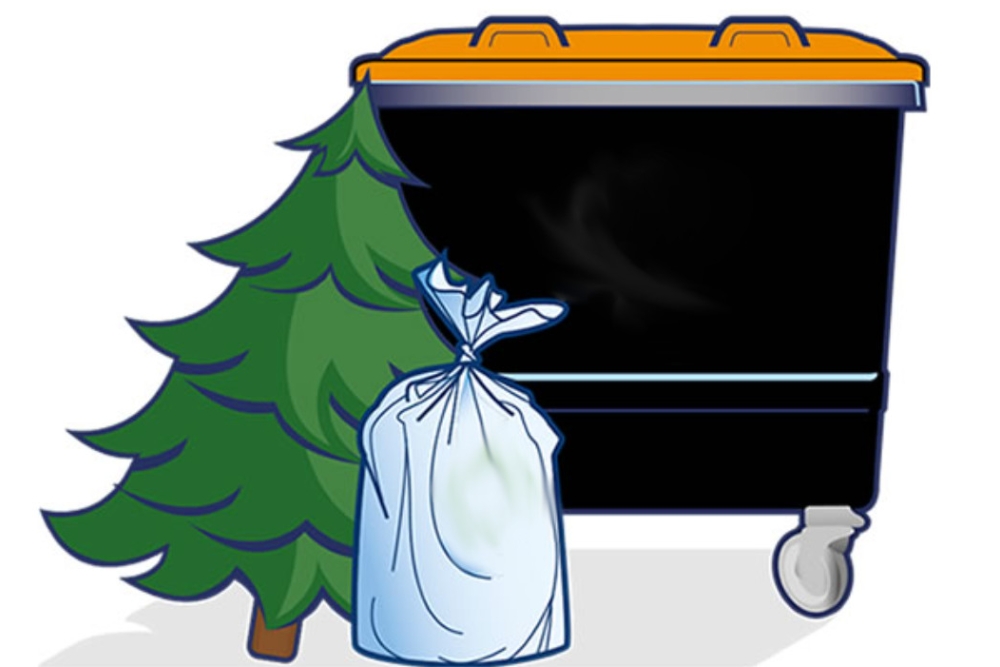  Kam s&nbsp;vánočním stromkem?