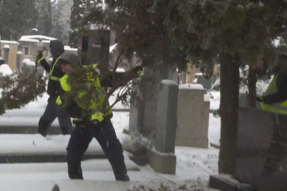  Na hřbitově probíhá prořez a&nbsp;kácení dřevin