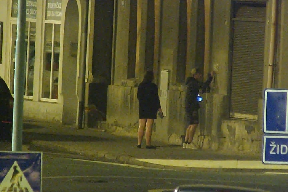  Poškozování cizí věci