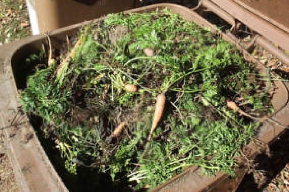  Prosincový vývoz bioodpadu je z&nbsp;důvodu mrazu zrušen!